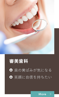 審美歯科